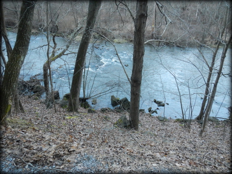 DSCN2190