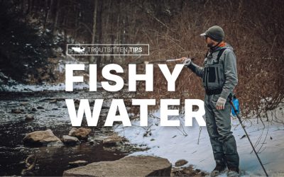 VIDEO: Fishy Water — Fall Into Winter