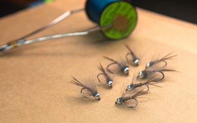 Confidence Flies: Signals and Changes