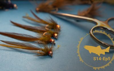 PODCAST: Streamer Presentations #5 — Give Swings a Chance (S14, Ep5)