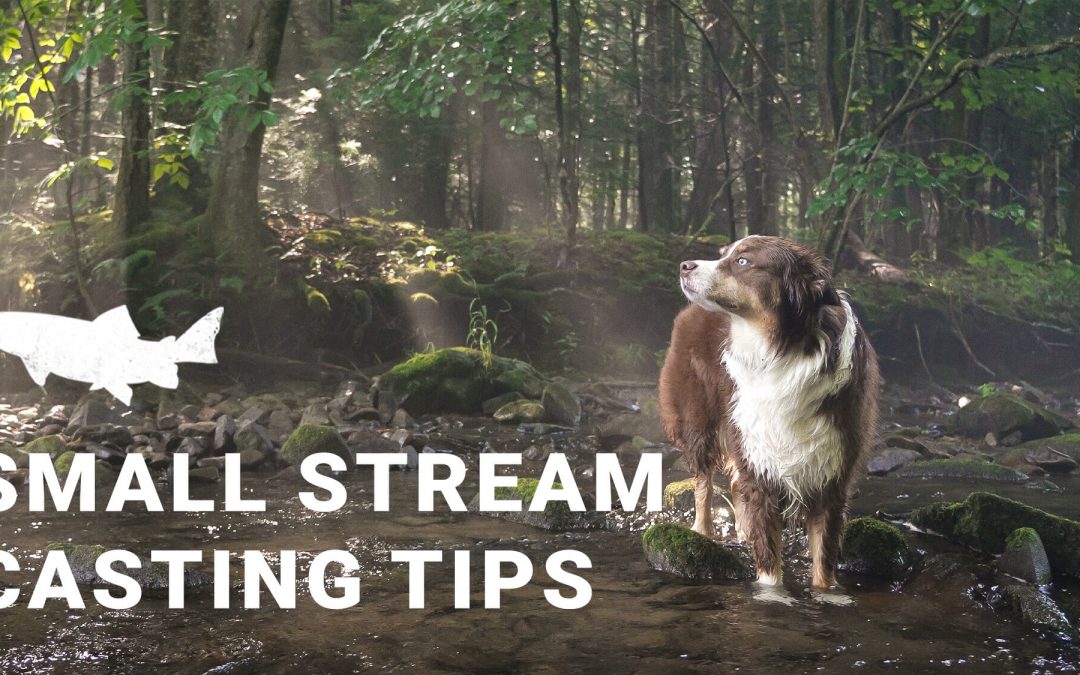 VIDEO/AUDIO: Riverside — Twelve Small Stream Fly Casting Tips