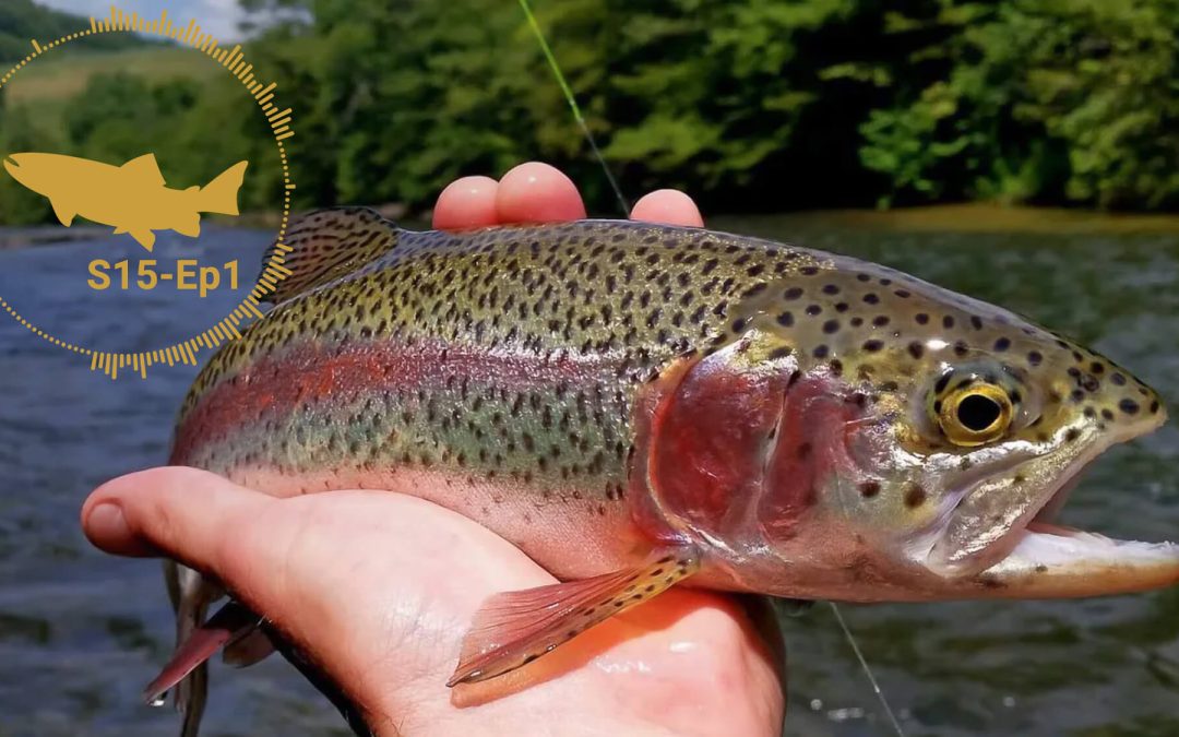 PODCAST: Strategies For Stocked Trout (S15, Ep1)