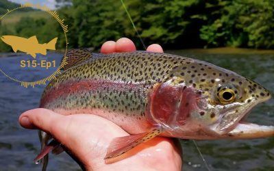 PODCAST: Strategies For Stocked Trout (S15, Ep1)