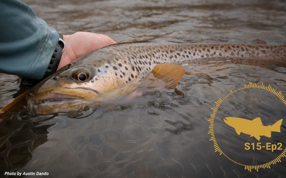 PODCAST: Know the River or Know Your Tactics? What Puts More Trout In the Net? (S15, Ep2)