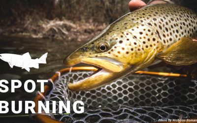 VIDEO/AUDIO: Riverside — A Fisherman’s Thoughts On Spot Burning