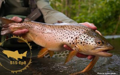 PODCAST: Caught, Lost and Missed Trout — Keeping Track (S15, Ep8)