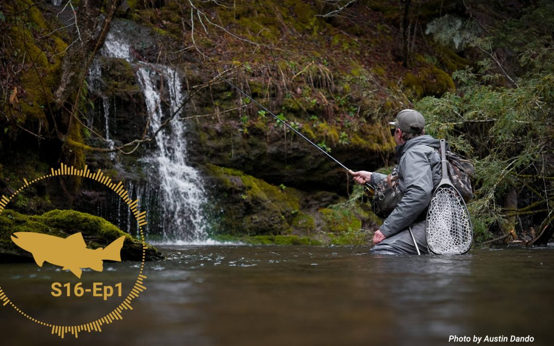 PODCAST: The Blue Liner’s Bible — The Good and Bad of Small Stream Fishing (S16, Ep1)