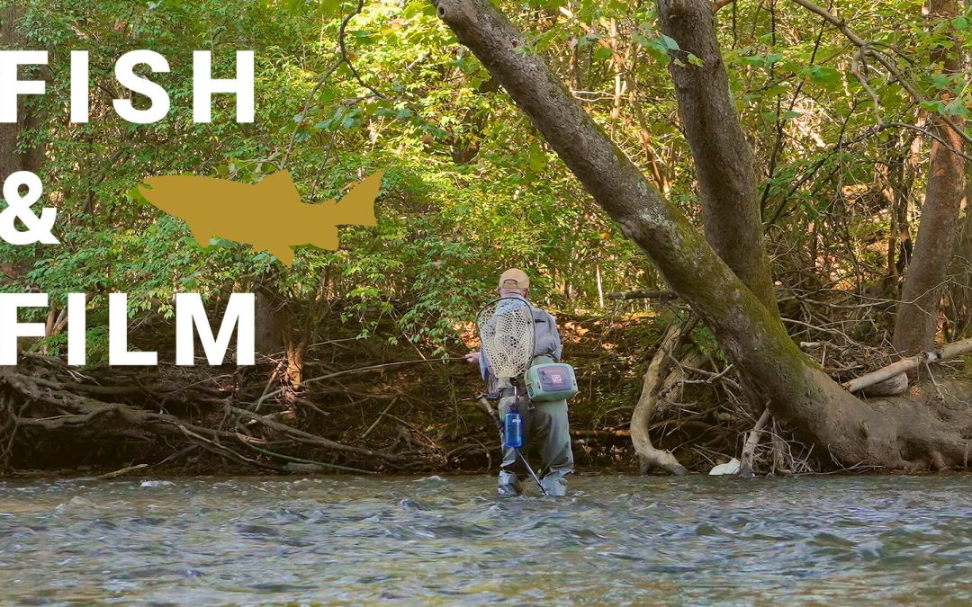 Fish and Film – Home Base (VIDEO)