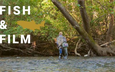 Fish and Film – Home Base (VIDEO)