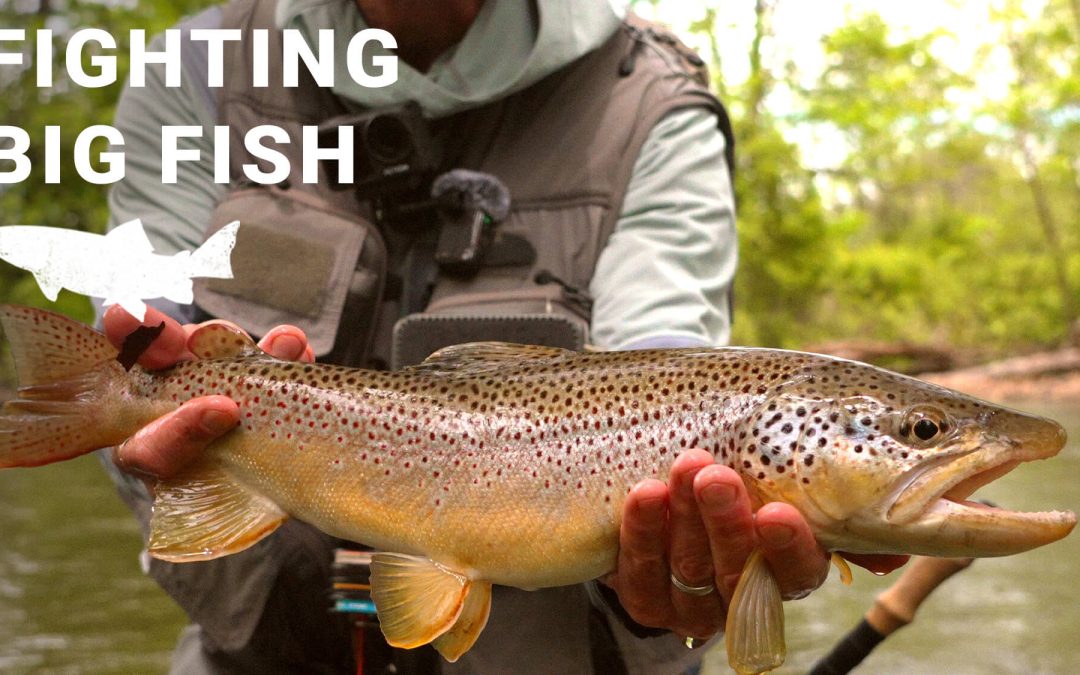VIDEO/AUDIO: Riverside — Fighting Big Fish — Keep ‘Em Down