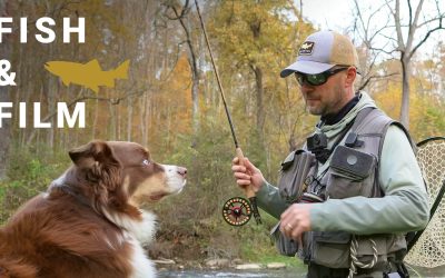 Fish and Film – Skinny Water Nymphing (VIDEO)