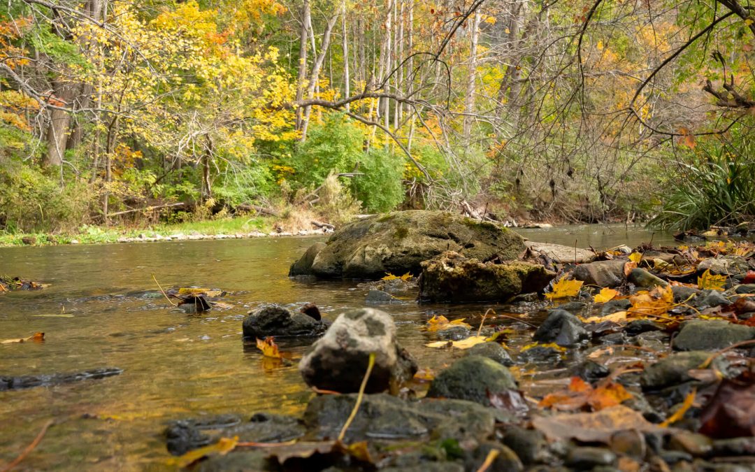Fishing Low Water — Is it Unethical?