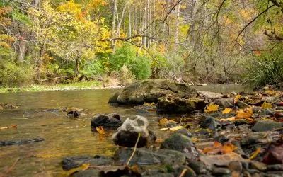 Fishing Low Water — Is it Unethical?