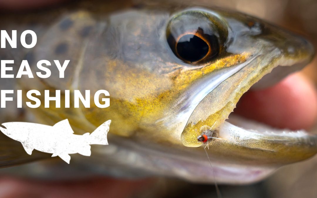 RIVERSIDE (Video): We Don’t Want Easy Fishing