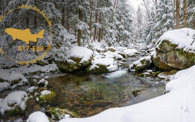 PODCAST: Fly Fishing Myths (S17, Ep8)