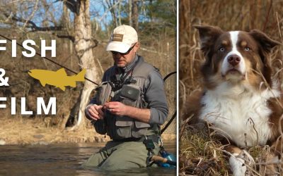 Fish and Film – Fish In a Barrel (VIDEO)