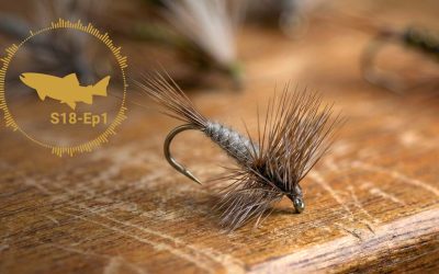 PODCAST: Dry Fly Platforms – Upright Hackles – The Troutbitten Fly Box (S18, Ep1)