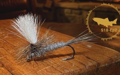 PODCAST: Dry Fly Platforms – Parachutes – The Troutbitten Fly Box (S18, Ep2)