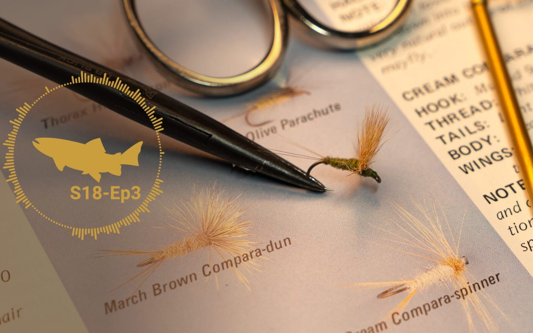 PODCAST: Dry Fly Platforms – Comparaduns – The Troutbitten Fly Box (S18, Ep3)