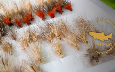 PODCAST: Dry Fly Platforms – Emergers – The Troutbitten Fly Box (S18, Ep5)