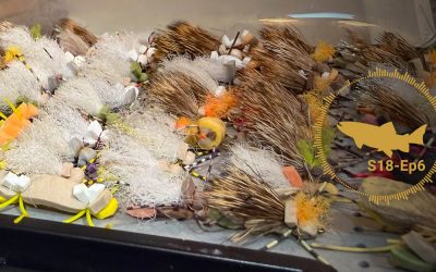PODCAST: Dry Fly Platforms – Hoppers, Stones and Foams- The Troutbitten Fly Box (S18, Ep6)