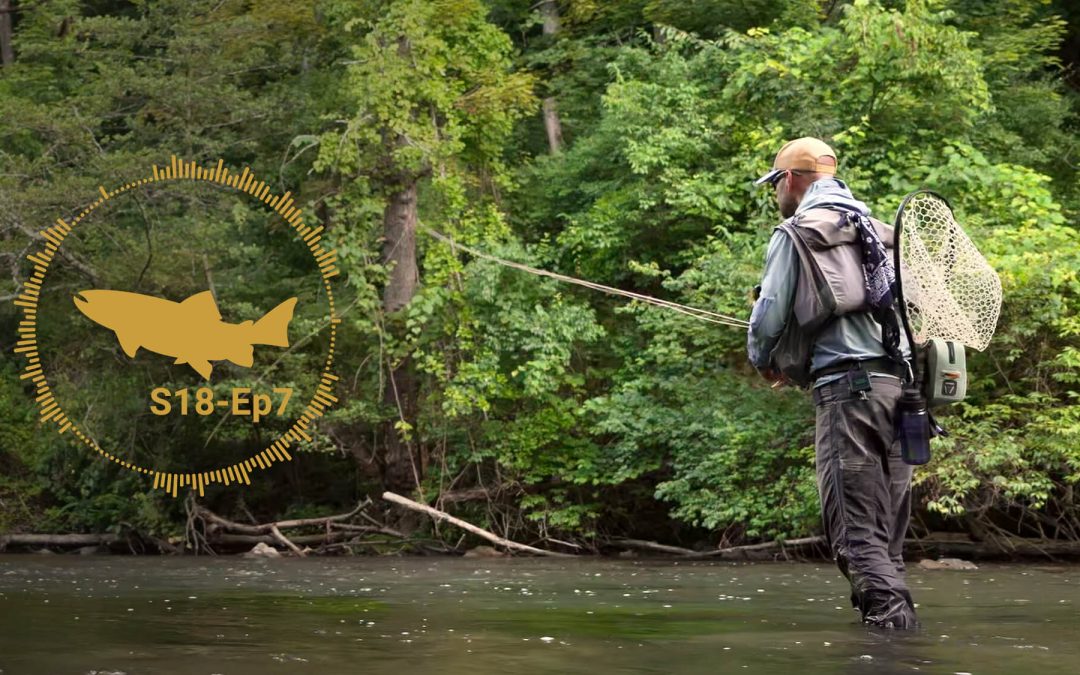 PODCAST: Dry Fly Platforms – The Outliers and The Wrap Up – The Troutbitten Fly Box (S18, Ep7)