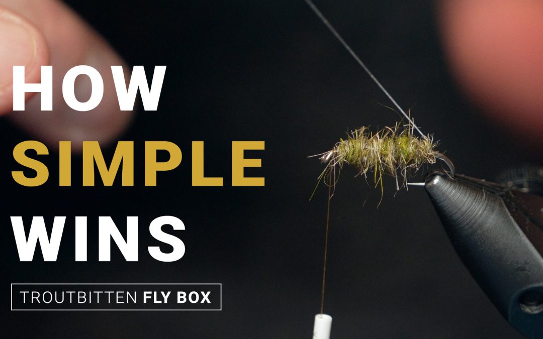 (VIDEO) Troutbitten Fly Box: Fur Nymphs – Walt’s Worm as a Platform, Blending Dubbing and More