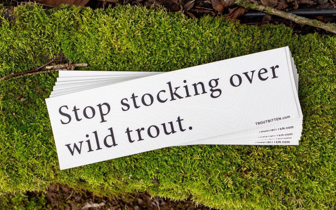 Stop Stocking Over Wild Trout