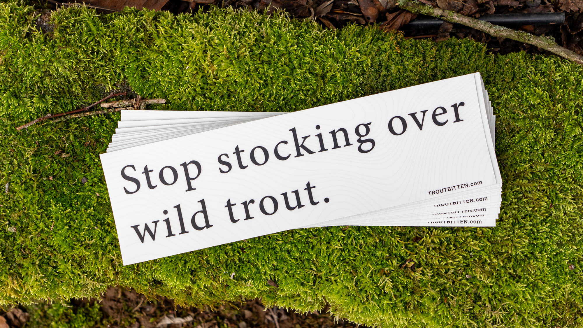 Troutbitten Stop Stocking Over Wild Trout Cover (1)