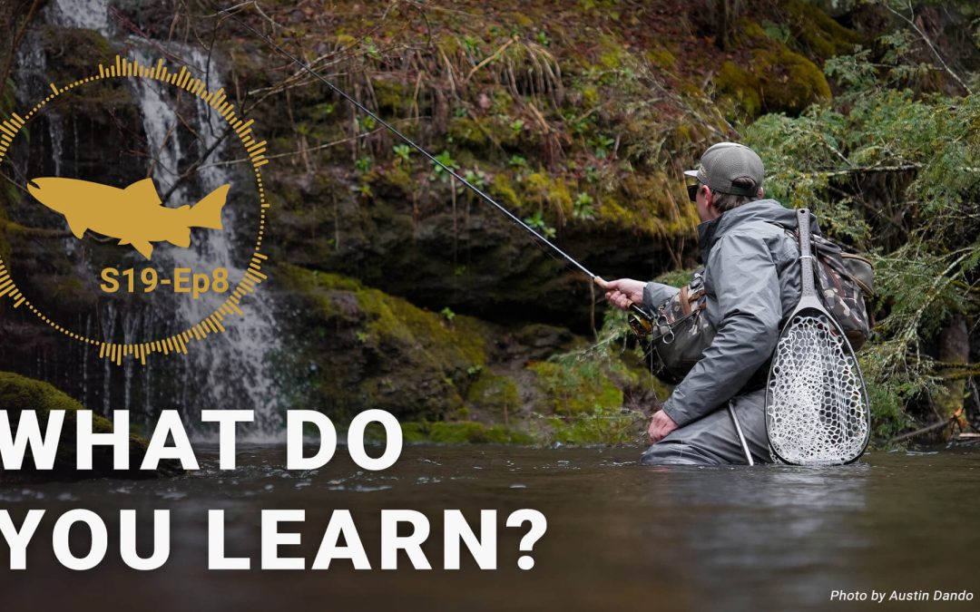 PODCAST: Learning From Other Species and Other Styles | S19-Ep8 (VIDEO and AUDIO)