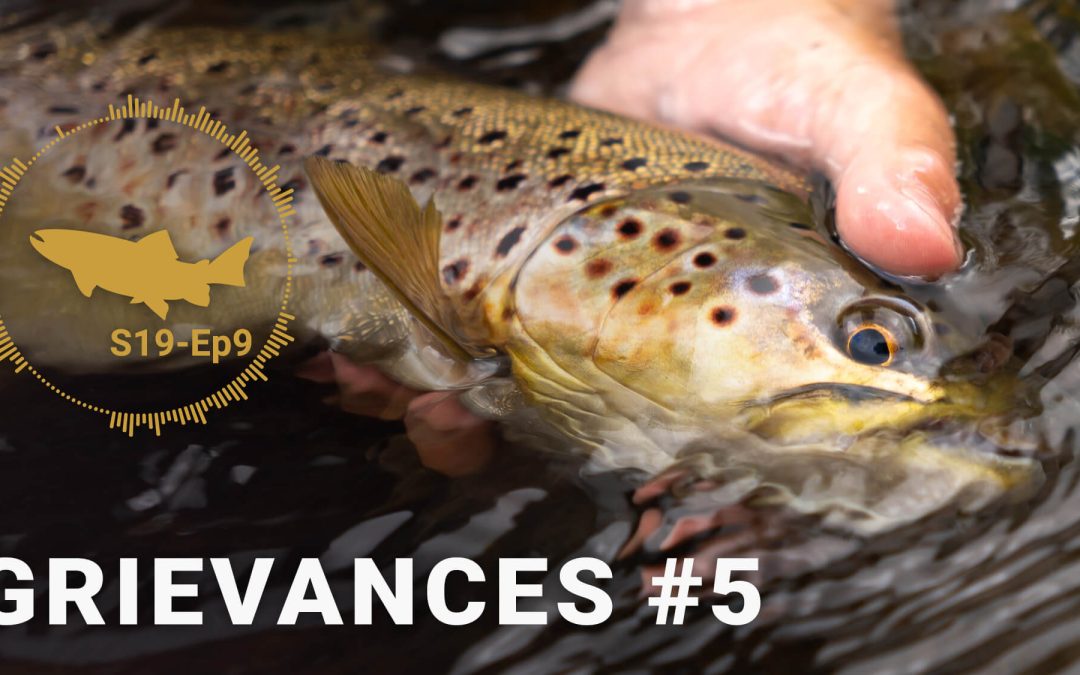 PODCAST: The Airing of Grievances — Five | S19-Ep9 (VIDEO and AUDIO)