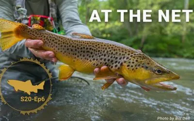 PODCAST: Fighting Big Fish #6 – The Last Ten Feet, and In the Net – S20, Ep6 (VIDEO and AUDIO)