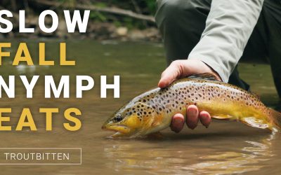 Nymphs On the Drop (VIDEO)