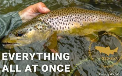 PODCAST: Fighting Big Fish #7 – Everything All At Once – S20, Ep7 (VIDEO and AUDIO)