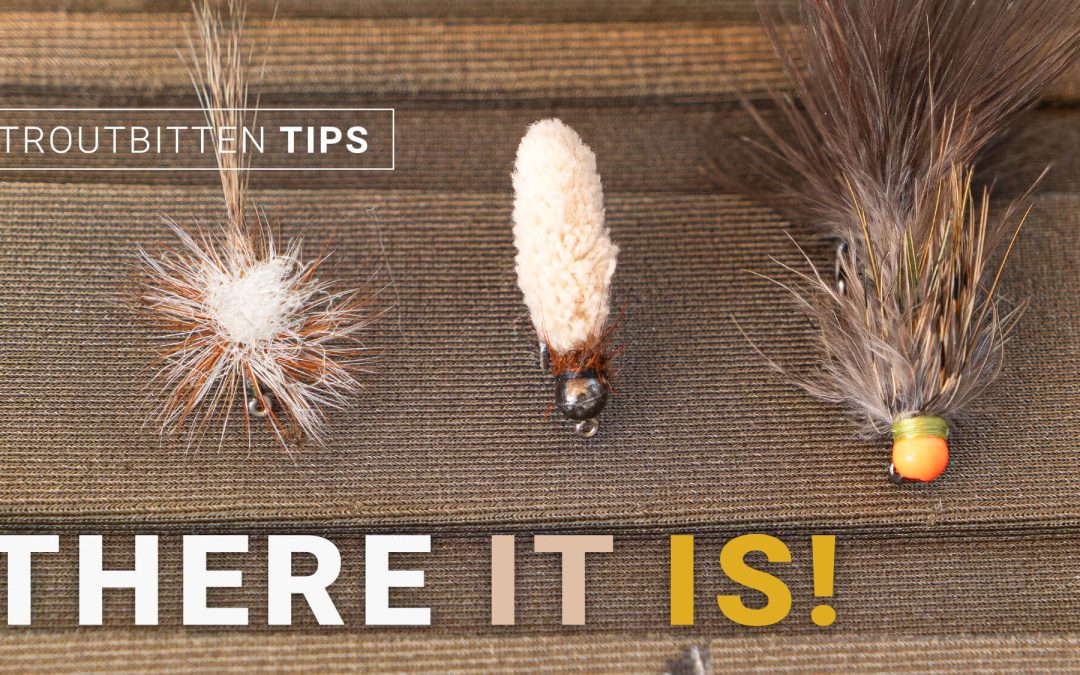 Fishing With Visible Flies — Learning From What You Can See (VIDEO)