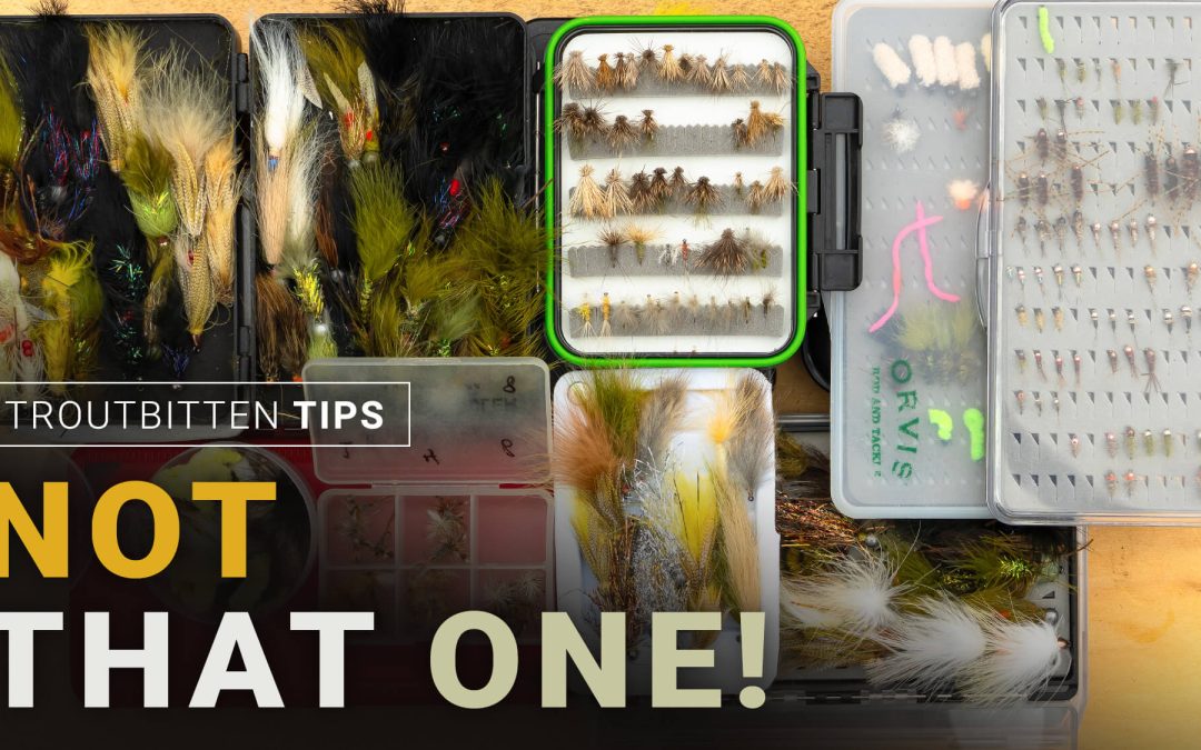 Nine Myths About Fly Choice (VIDEO)