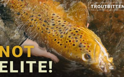 Fly Fishing Elitists – Enough Already (VIDEO)