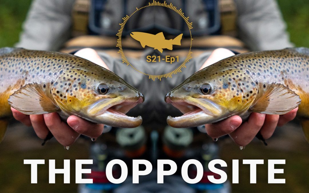 PODCAST: Doing the Opposite – S21, Ep1 (VIDEO and AUDIO)