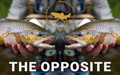 PODCAST: Doing the Opposite – S21, Ep1 (VIDEO and AUDIO)